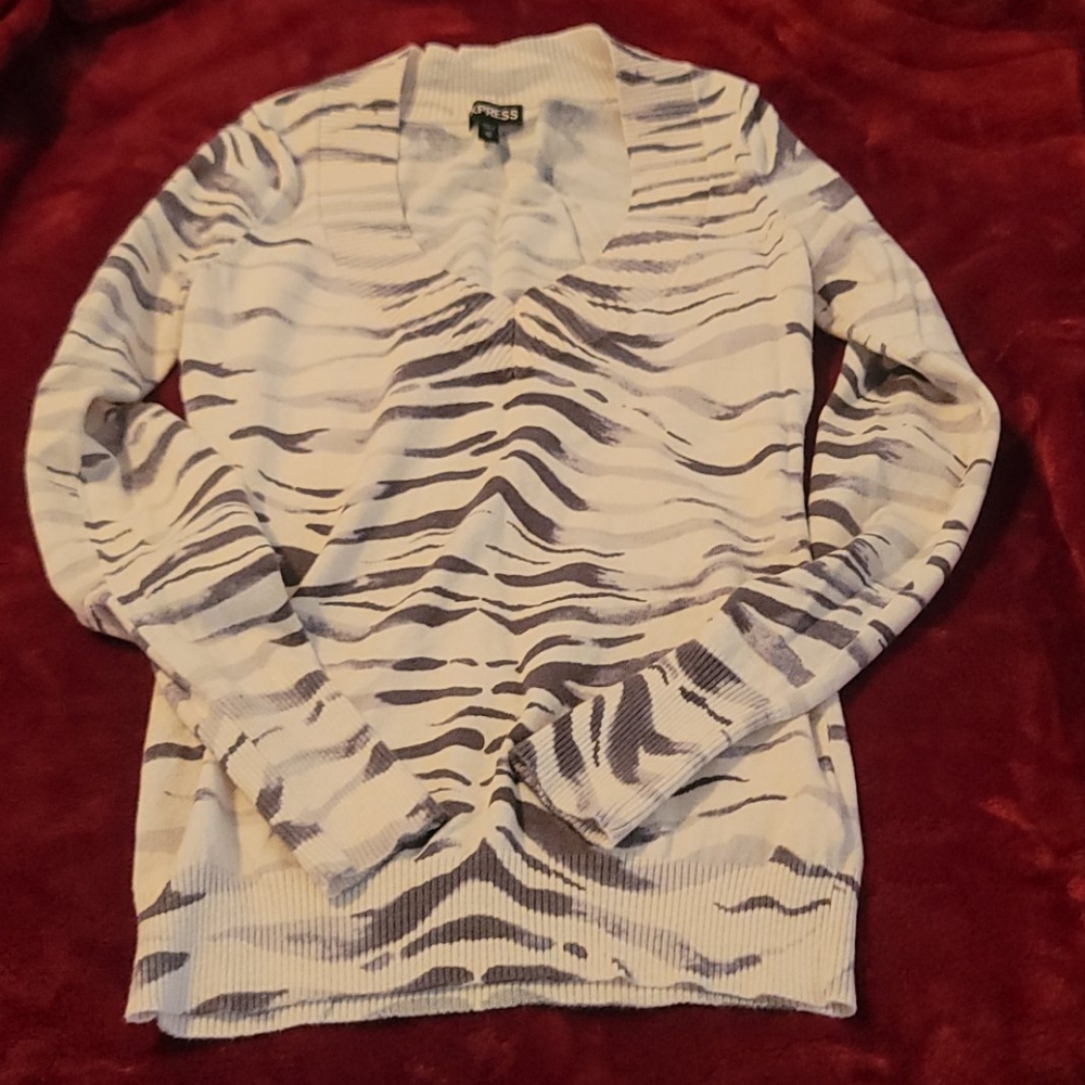 Express sweater